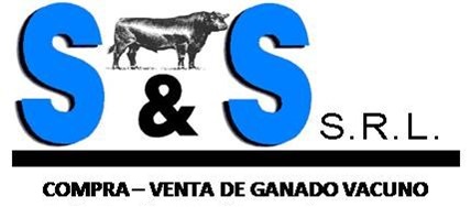 Logo SYS SRL